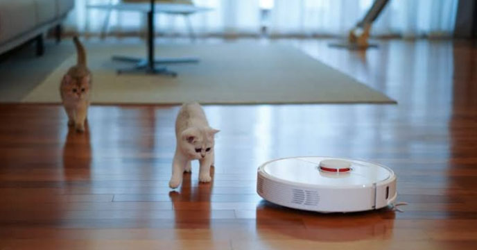 Robot cleaner