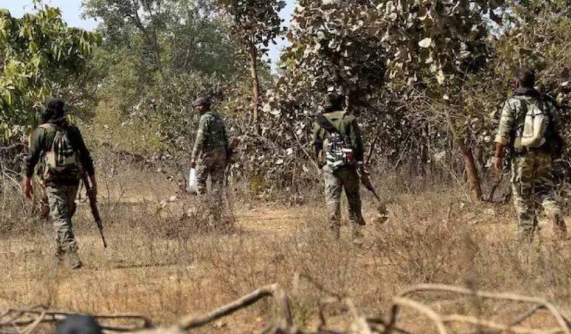 Over 300 Maoists Killed, 1100 Arrested in 13-Month Crackdown in Chhattisgarh