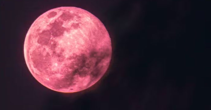 Pink Moon