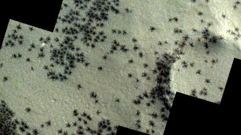 Spiders on Mars