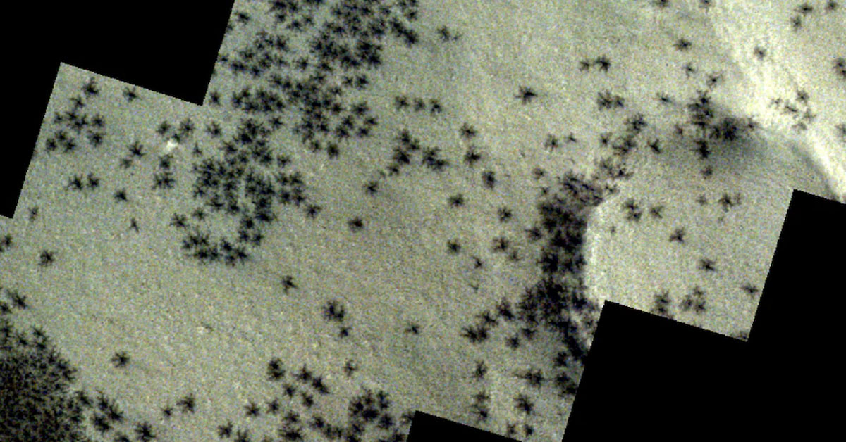 Spiders on Mars