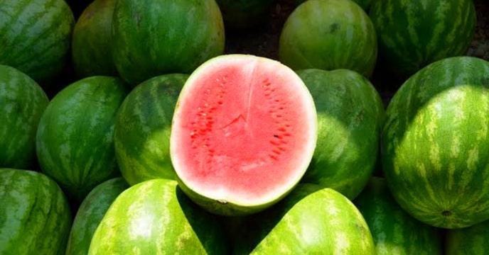 Watermelon