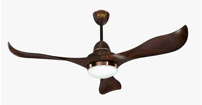 fan