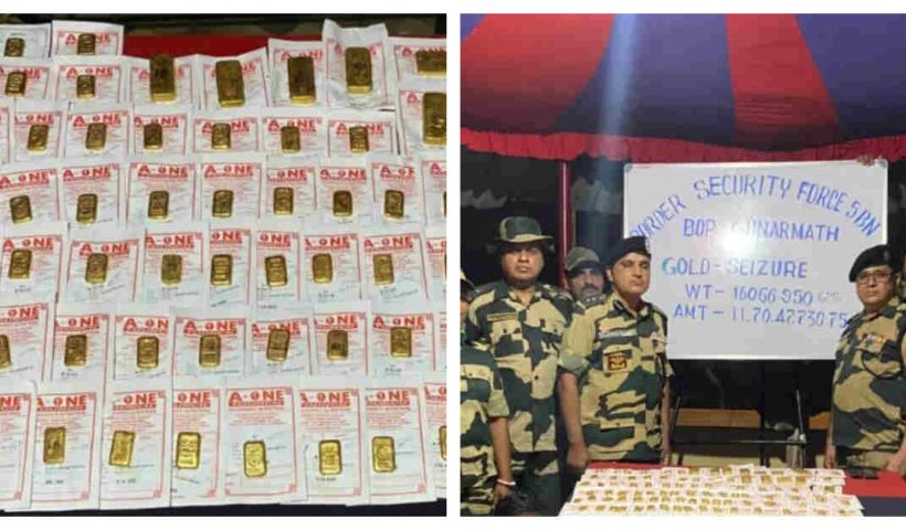 bsf find gold