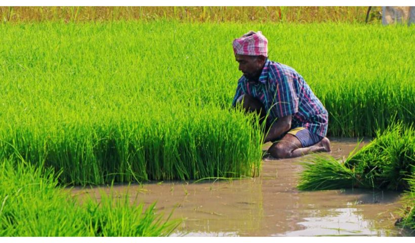 PM Pranam Yojana