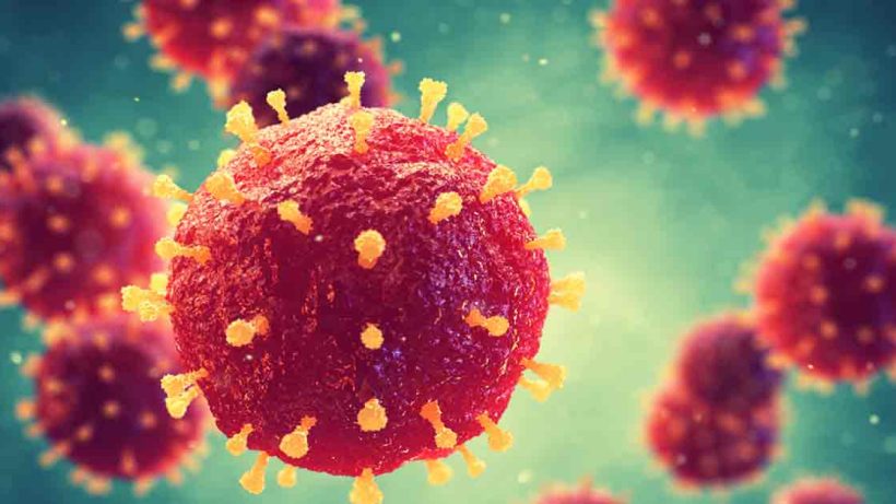 Rubella-Virus