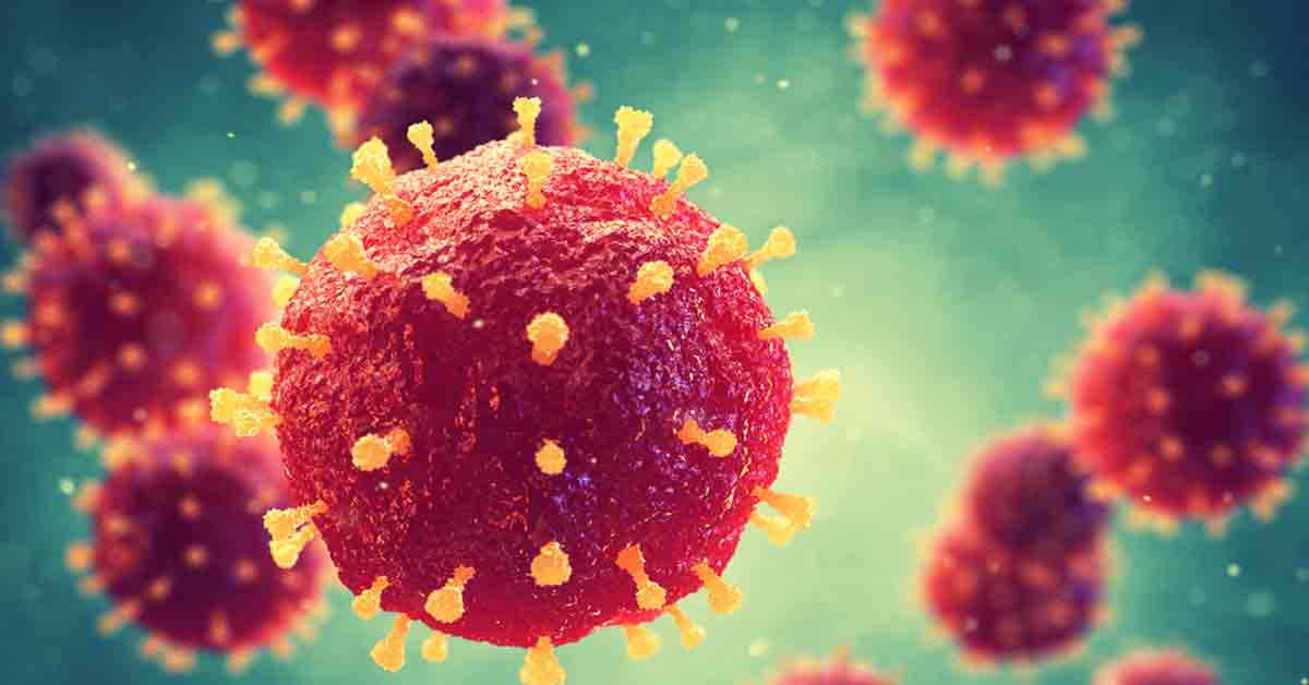 Rubella-Virus