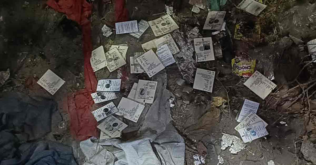 Voter-ID-Cards