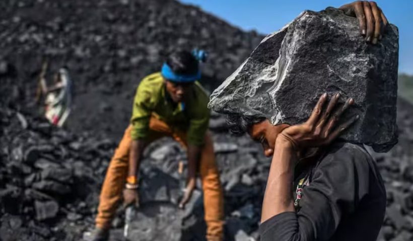 Coal