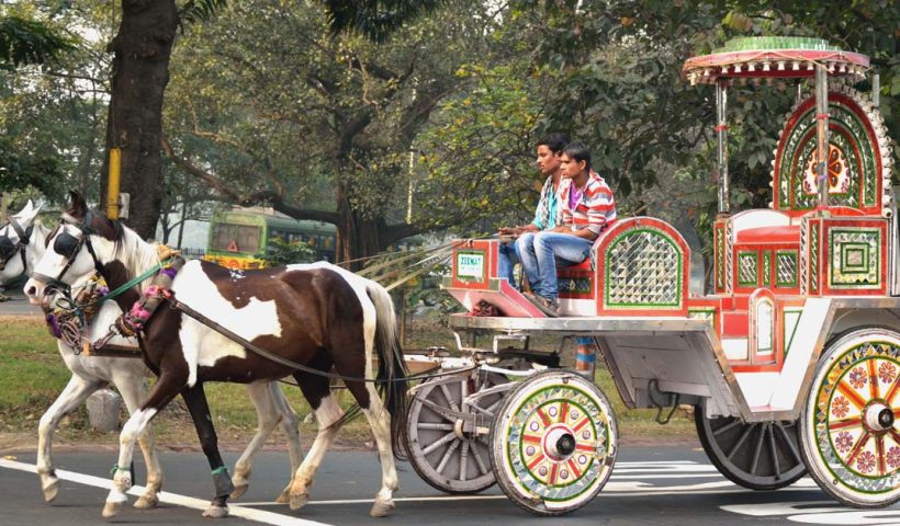 BJP leader Rupali Ganguly Urges Mamata Banerjee To Stop Horse-Drawn Carriages, কলকাতায় ঘোড়ার গাড়ি বন্ধের আবেদন