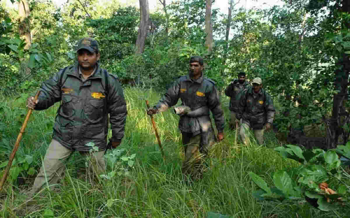 forest-range-officer-India