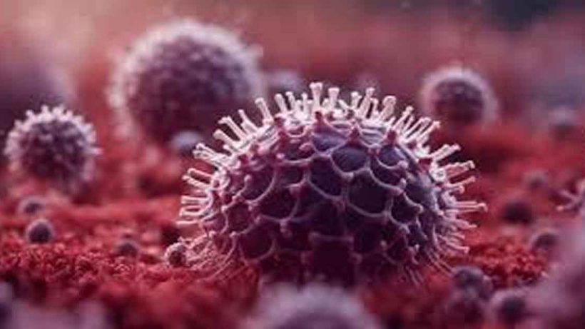 Chndipura virus