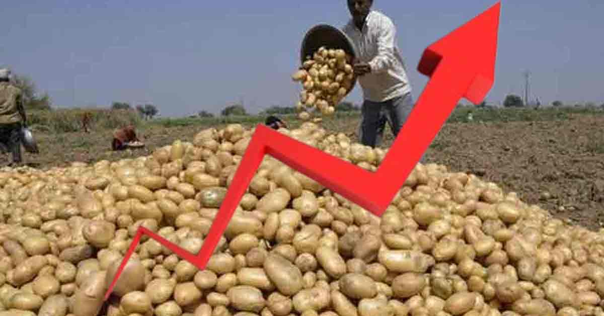 The Potato Price Hike, middle-class people are gasping for breath while buying in the market