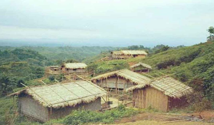 tripira