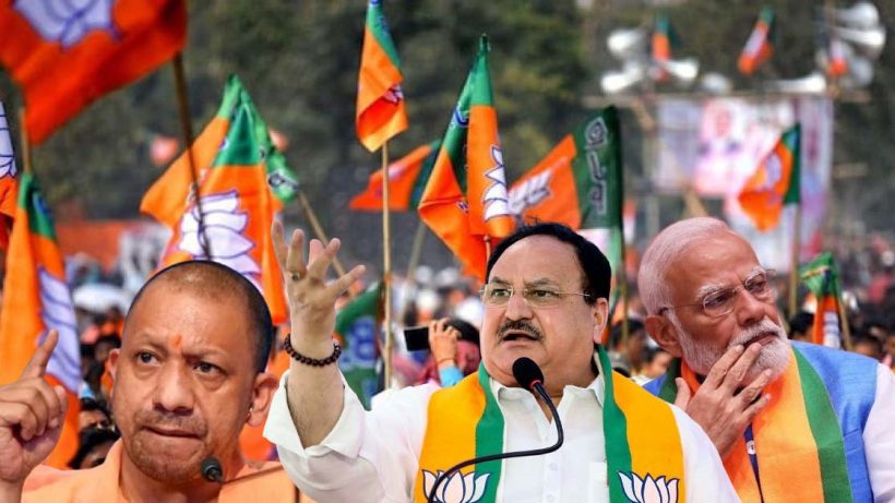 bjp