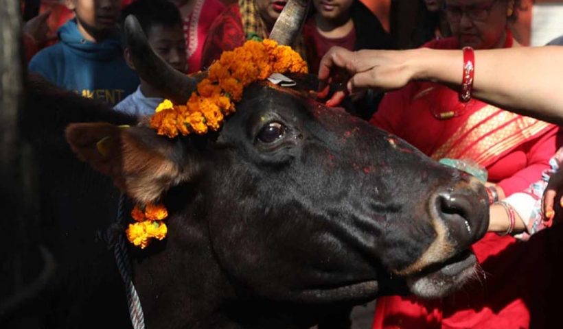 Maharashtra Govt