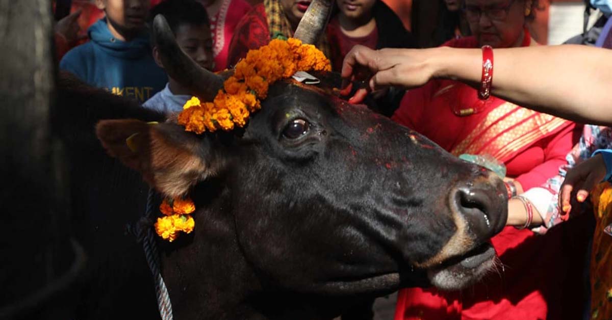 Maharashtra Govt