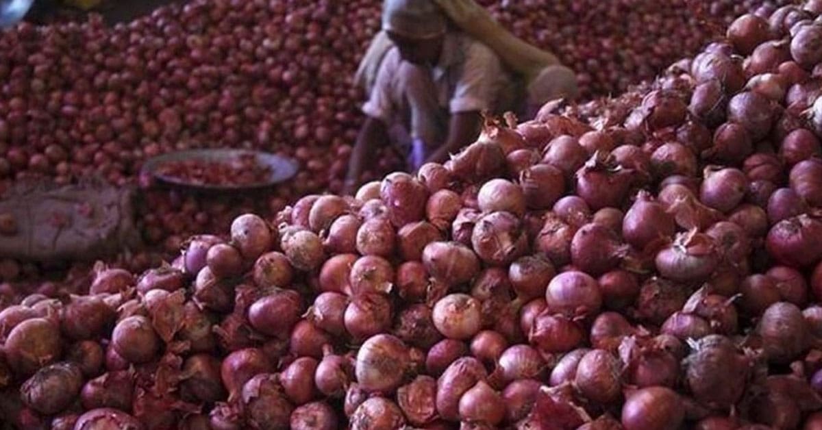 Onion prices fall after central government takes Onion And Garlic Price Hike Onion On 100 Rupees Per Kg Vegetable Latest Rate