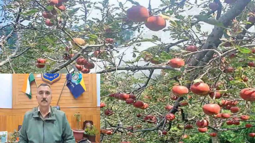 Apple business Drug smuggling