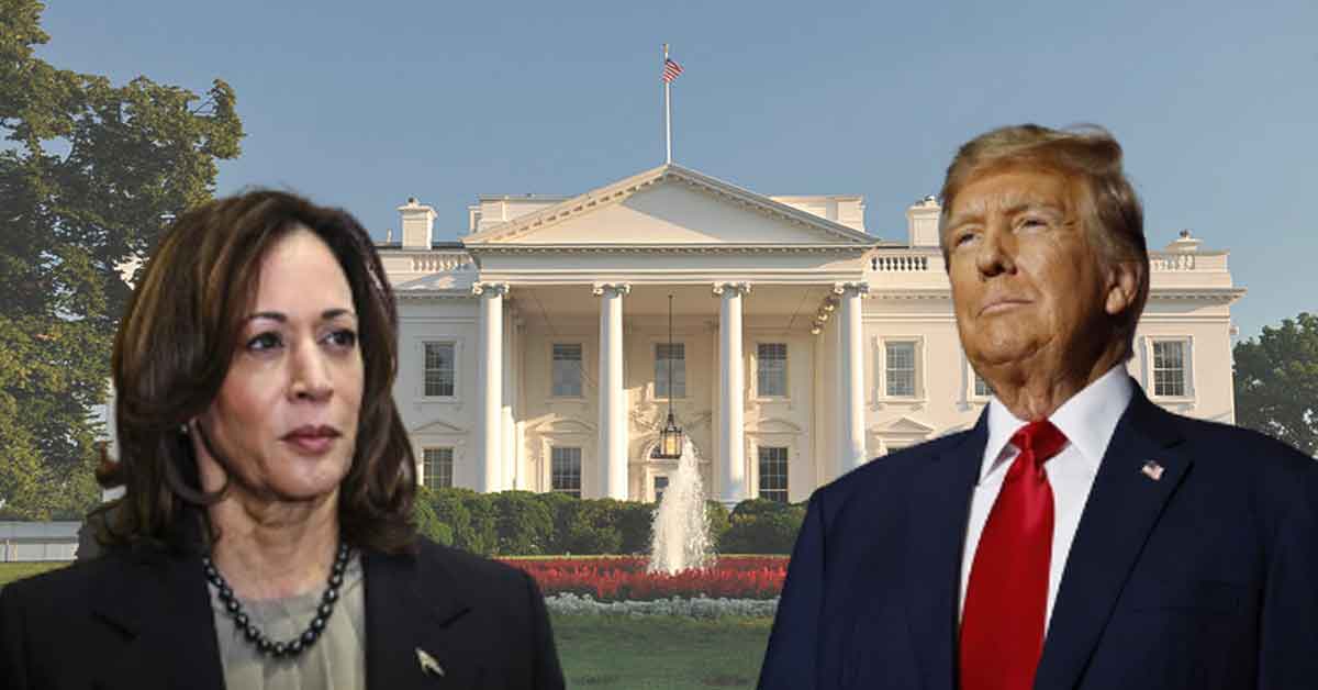 Vote scam ballot box loot US election controversy
