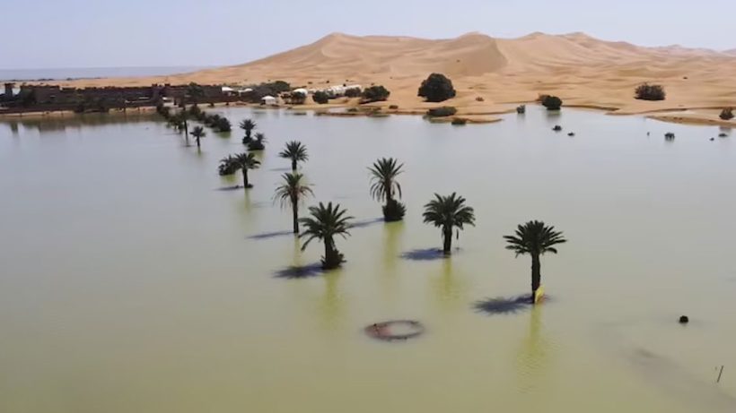 Sahara Desert flooded