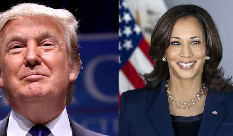 Trump Wins in 24 States and Leads in 'Swing States', Where Does Kamala Stand?