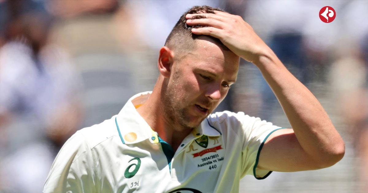 Josh Hazlewood injury before adelaide-test-between-india-vs-australia-at-border-gavaskar-trophy