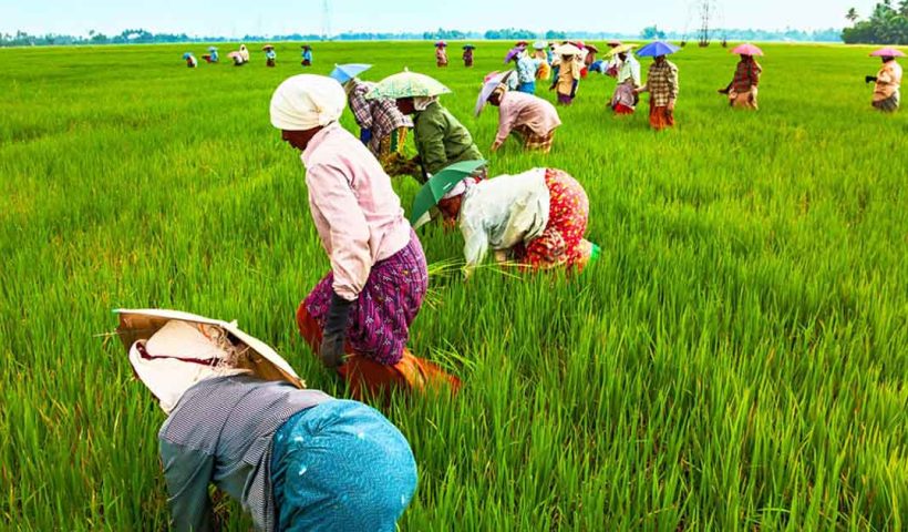 Matrix Fertilizers investment