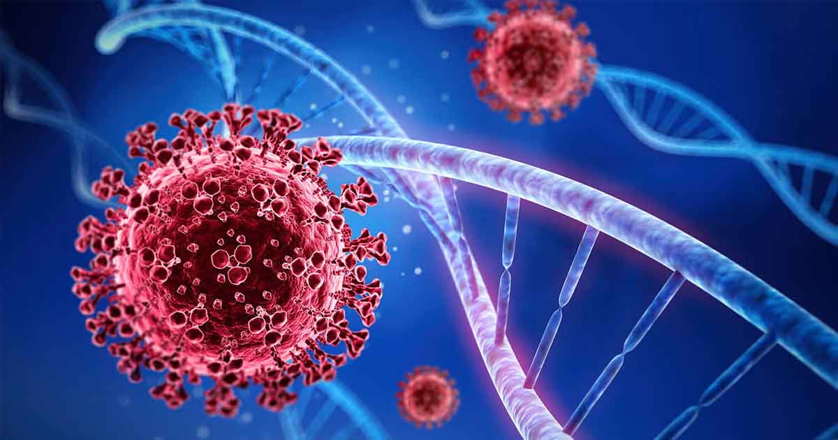 JP Nadda Reaches Out to Mamata Banerjee Amid Nipah Virus Detection in West Bengal