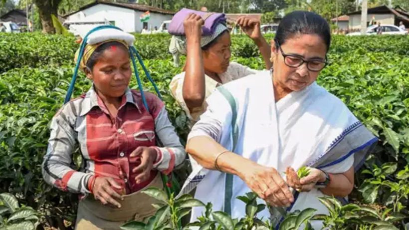 mamata-banerjee-new-steps-relief-workers-northern-tea-industry-revival
