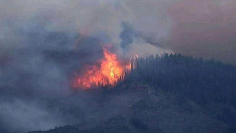 jammu-kashmir-udhampur-forest-fire-damages-wide-area