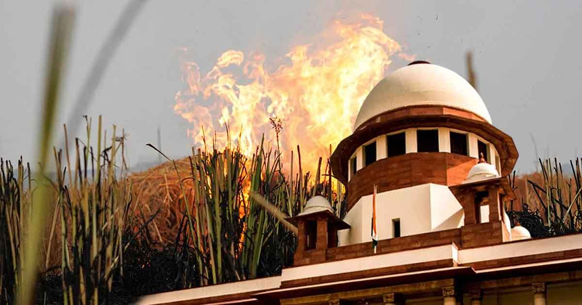 Supreme Court Dismisses Plea on Stubble Burning in Punjab, Haryana