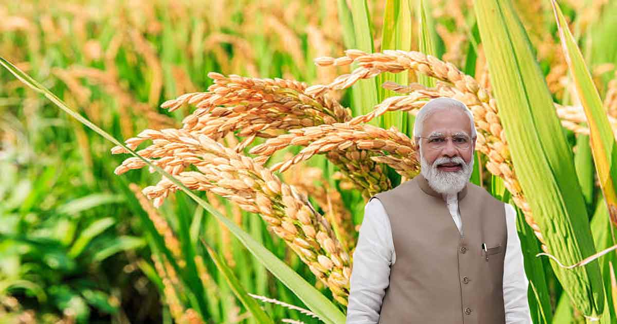 sasryee mulya ar from modi