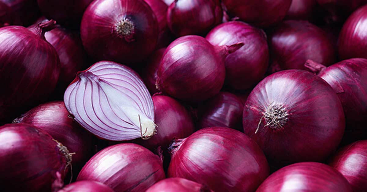 onion-tariff-cancellation-price-impact