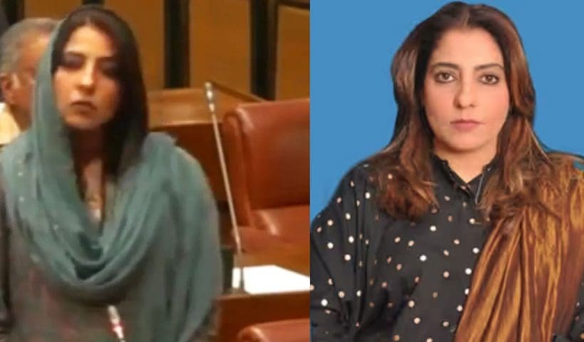 Pakistan Babri Masjid remark