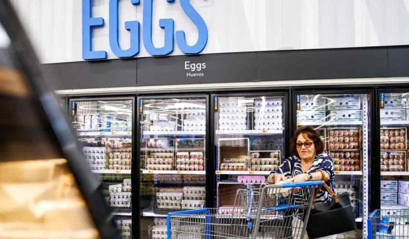 US Egg Prices girl