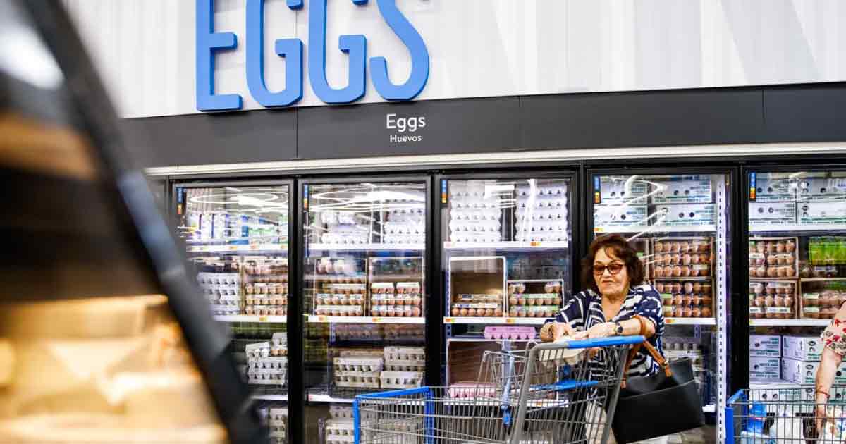 US Egg Prices girl