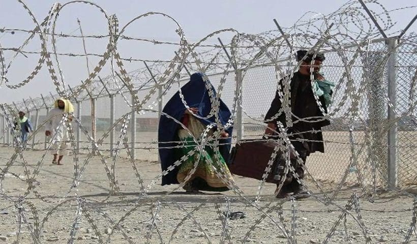 Pakistani Ranger Detained by BSF Along India-Pakistan Border in Rajasthan