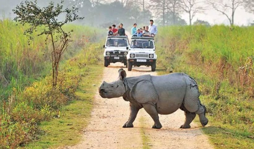 Eight National Parks to Stay Closed During Monsoon Season, West Bengal Directorate of Forests Issues Order