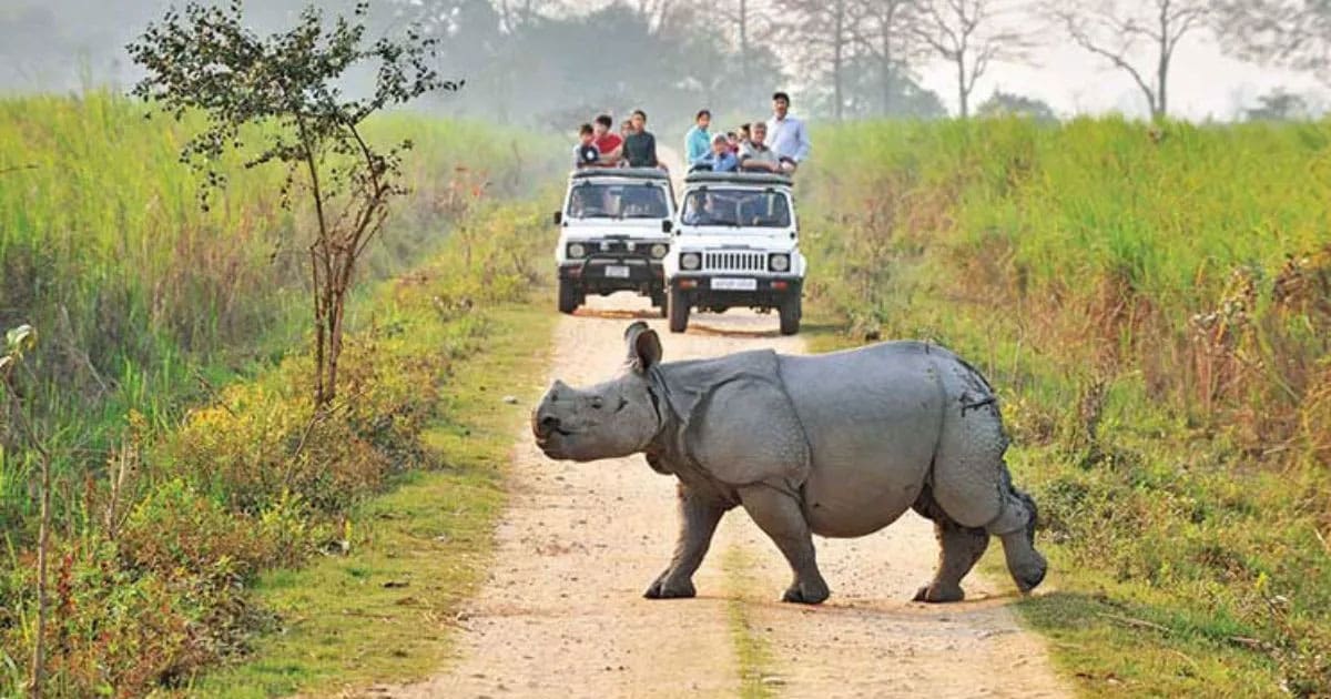 Eight National Parks to Stay Closed During Monsoon Season, West Bengal Directorate of Forests Issues Order