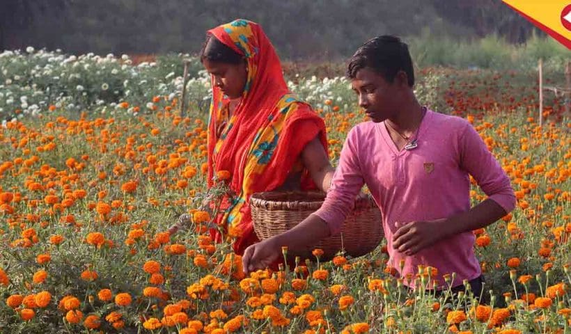 Flower west midnapore