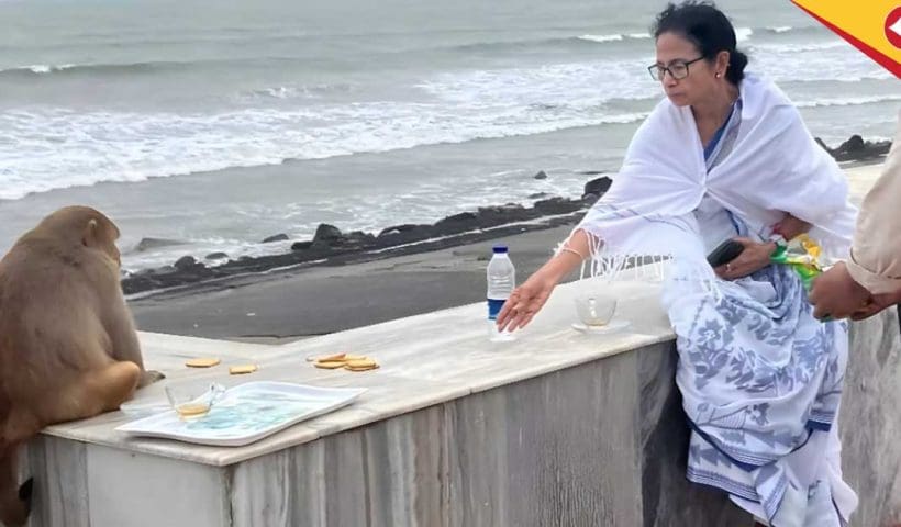 Mamata Banerjee Feeds Monkey at Digha Beach, Oversees Rath Yatra Preparations