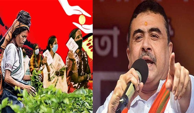 suvendu slams tmc