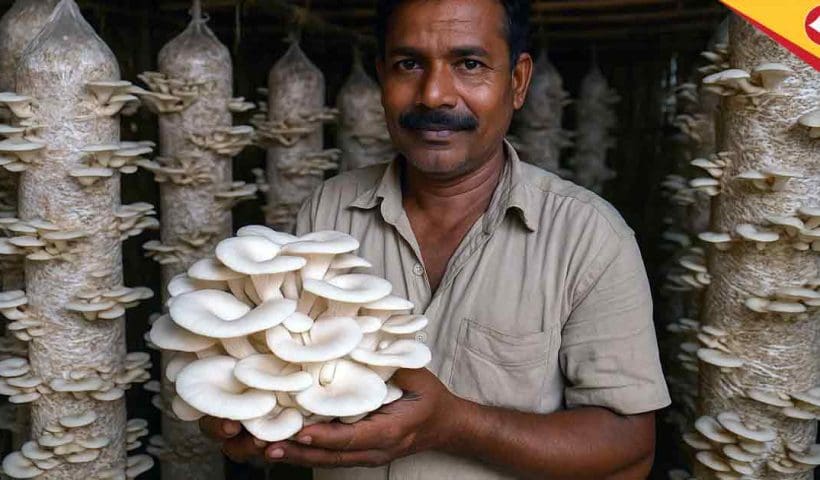 Bengal Farmer’s Mushroom Farming Success: Earning ₹15 Lakh Annually with Low Investment