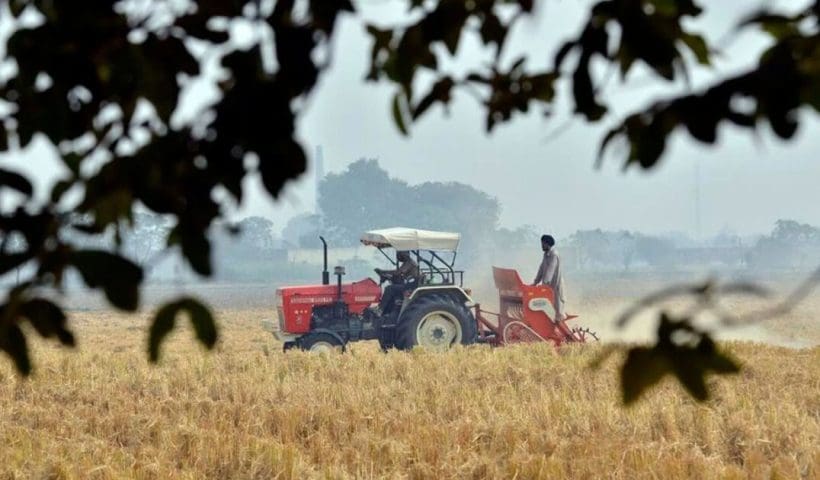 jamboni-women-reap-rewards-from-cultivating-gobindobhog-rice