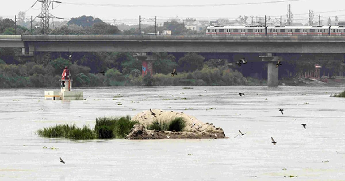 Yamuna river