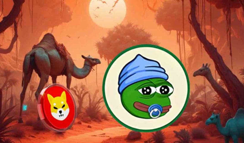 Lilpepe