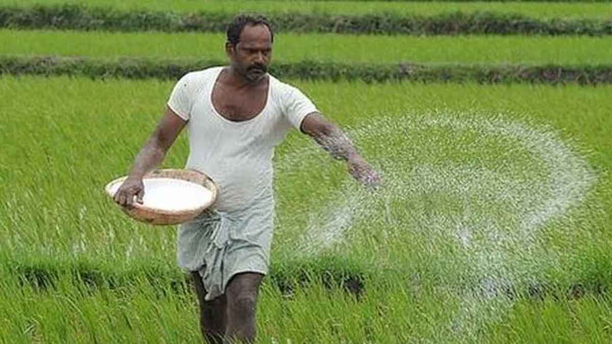 GST Reform