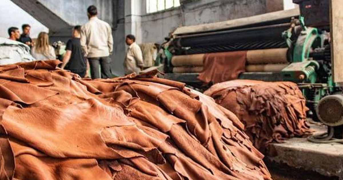 Kanpur Leather