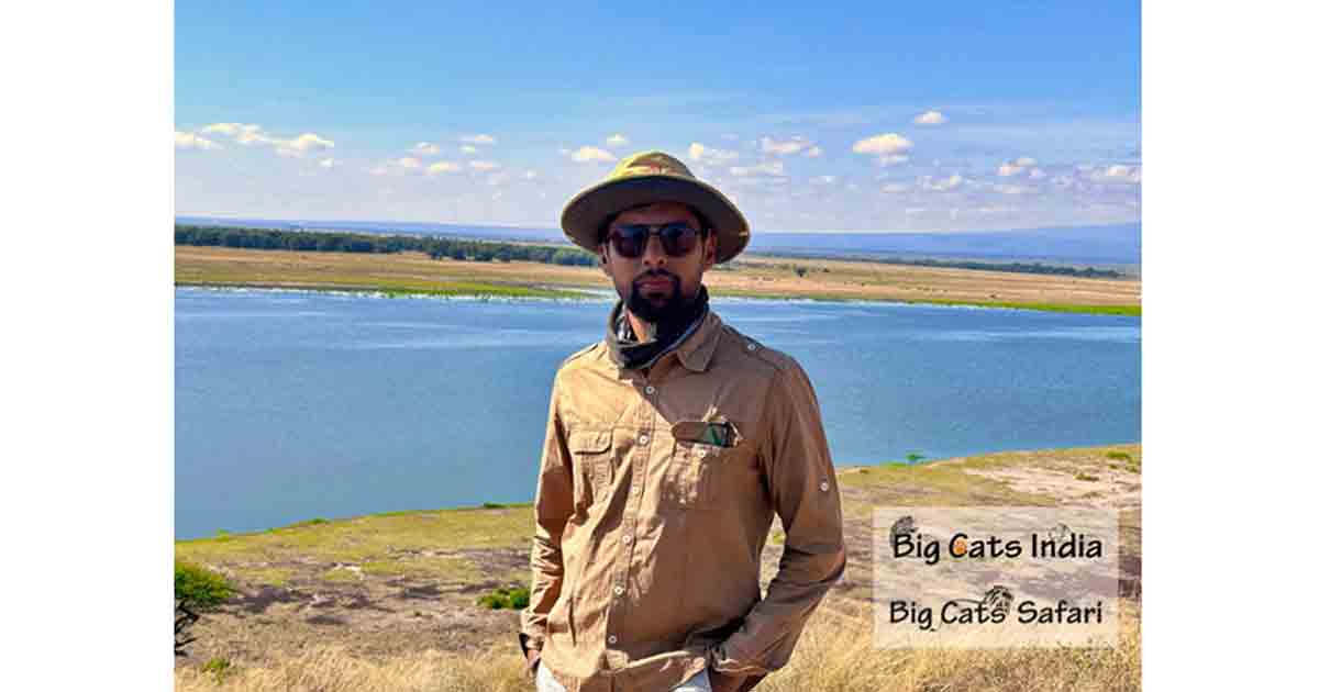 Big Cat